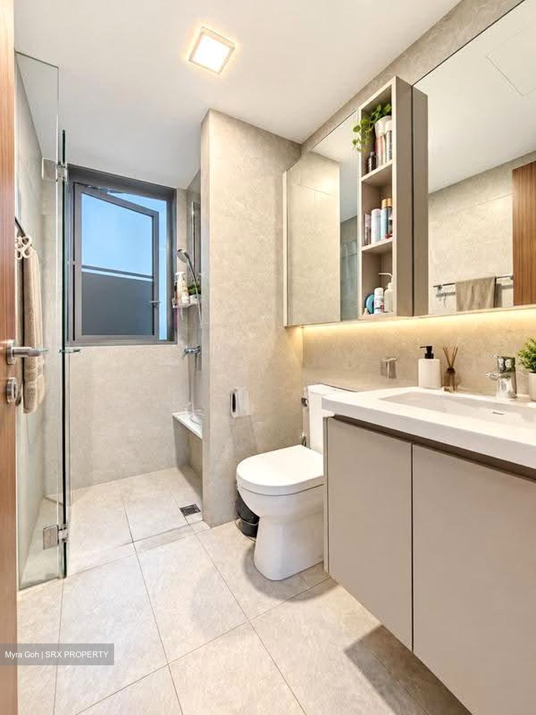 The Visionaire (D27), Condominium #621181441